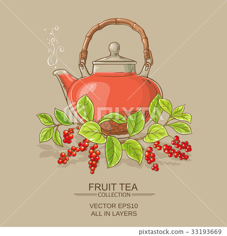 schisandra tea illustration schisandra tea illustration 33193669
