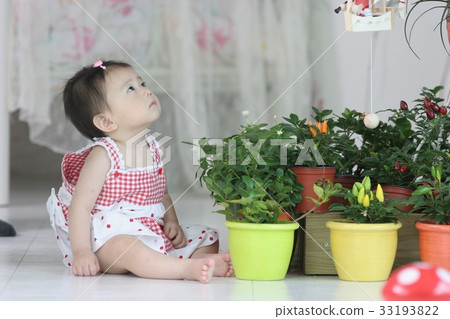 嬰兒 嬰兒 33193822