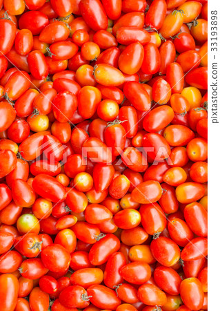 Tomatoes Tomatoes 33193898