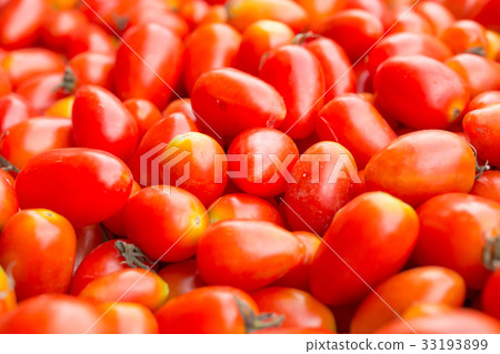 Tomatoes Tomatoes 33193899