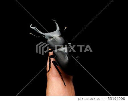 我抓住了我的手指 33194008