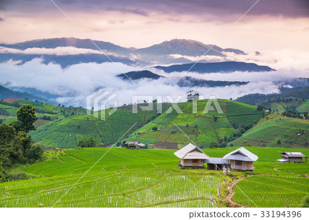 Terrace rice field over the mountain range Terrace rice field over the mountain range 33194396