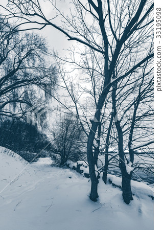 Snowy winter landscape Snowy winter landscape 33195098