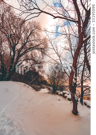 Snowy winter landscape 33195099