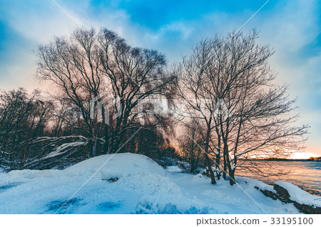 Snowy winter landscape Snowy winter landscape 33195100