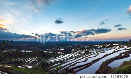 Sunrise over the Jatiluwih Rice Terraces. 33195676