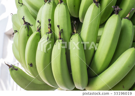 Green banana bunch on tree 33196019