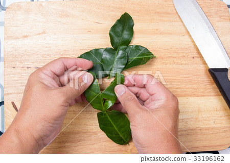Chef shred kaffir lime leaves by hand. 33196162