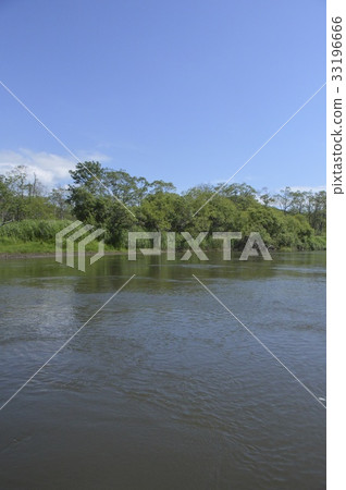 釧路濕地（北海道） 33196666