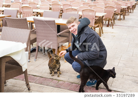 Homeless cat, pet and animals concept - Man caress Homeless cat, pet and animals concept - Man caress 33197289