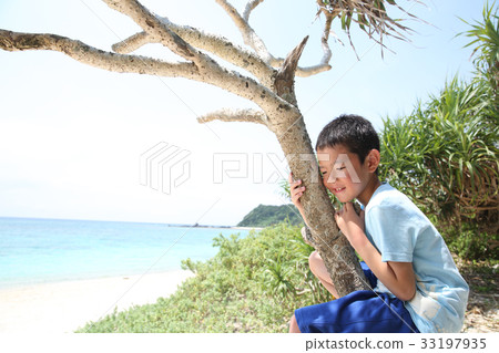 爬一棵樹的孩子在一個南國 33197935