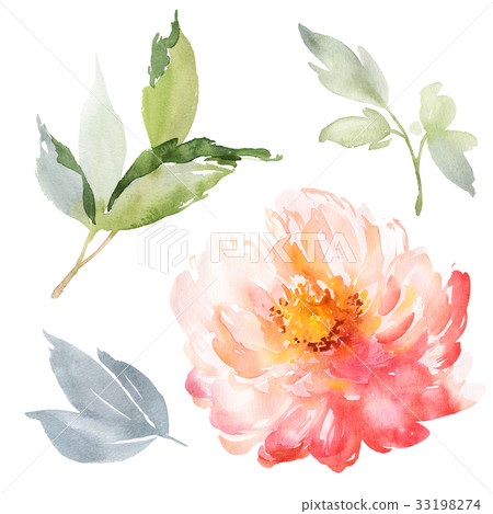Set of watercolor large peony for greeting card. Set of watercolor large peony for greeting card. 33198274