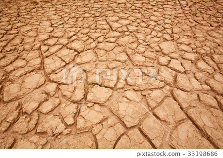 dry land 33198686