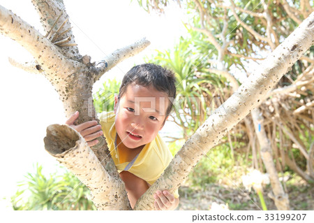爬一棵樹的孩子在一個南國 爬一棵樹的孩子在一個南國 33199207