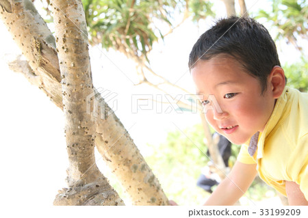 爬一棵樹的孩子在一個南國 33199209