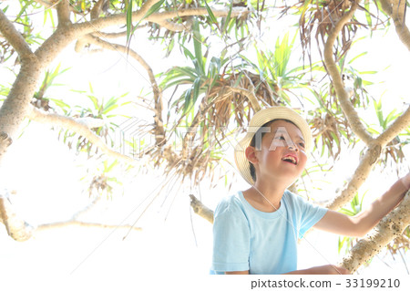 爬一棵樹的孩子在一個南國 33199210