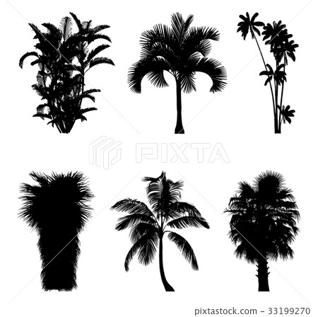 Vector illustration of tree silhouettes Vector illustration of tree silhouettes 33199270