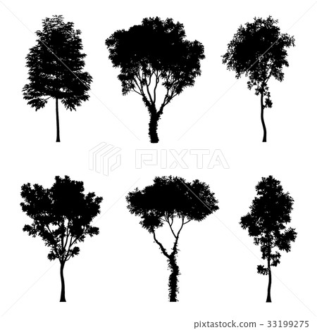 Vector illustration of tree silhouettes   33199275