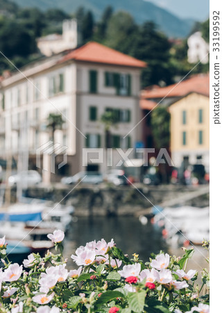 Flowers by the Como lake, Italy 33199592