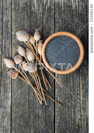 Dried poppy heads and seeds. 33200130