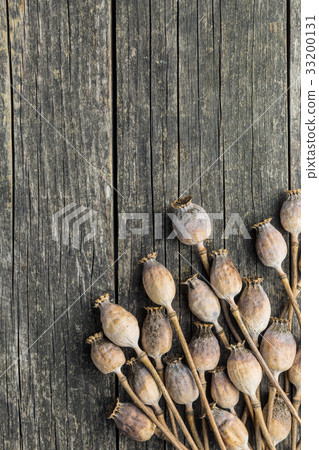 Dried poppy heads. 33200131
