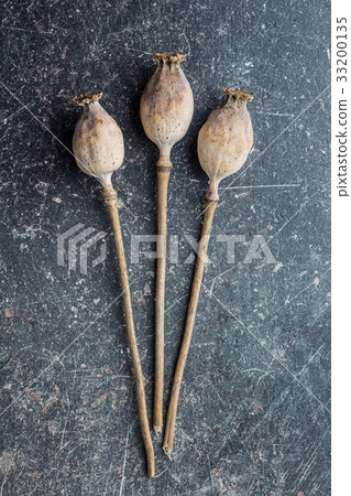 Dried poppy heads. 33200135