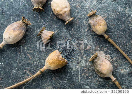 Dried poppy heads and seeds. 33200136