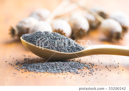 Dried poppy heads and seeds. 33200142