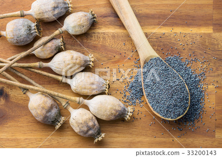 Dried poppy heads and seeds. 33200143