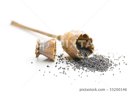 Opened poppy head and seed. 33200146