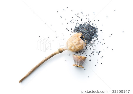 Opened poppy head and seed. 33200147