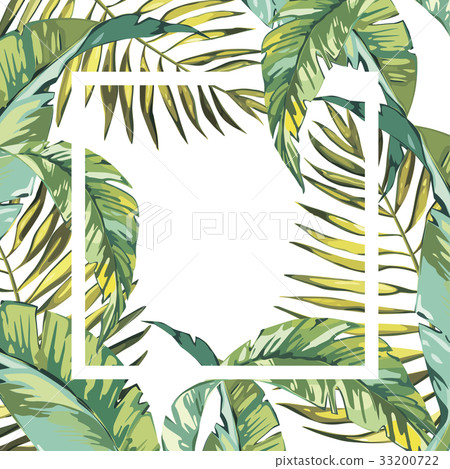Banner, poster with palm leaves, jungle leaf Banner, poster with palm leaves, jungle leaf 33200722