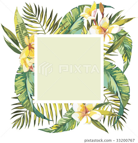 Summer tropical background with palm tree leaves 33200767