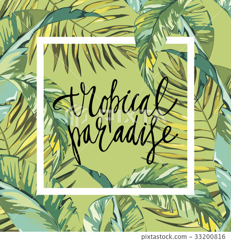 Banner, poster with palm leaves, jungle leaf 33200816