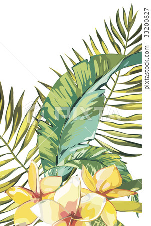 Banner, poster with palm leaves, jungle leaf and Banner, poster with palm leaves, jungle leaf and 33200827