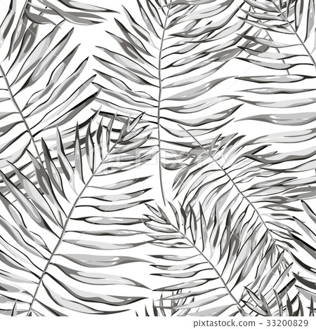 Black and white tropical leaves. Beautiful Black and white tropical leaves. Beautiful 33200829