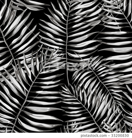 Black and white tropical leaves. Beautiful Black and white tropical leaves. Beautiful 33200830