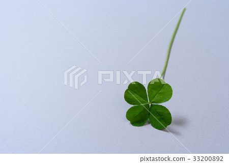 五顏六色的四葉三葉草灰色背景材料 33200892