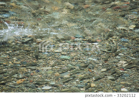 清流香魚 33202112
