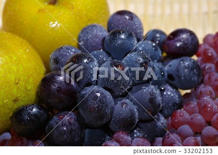 Grapes and pears above b-1 up Grapes and pears above b-1 up 33202153