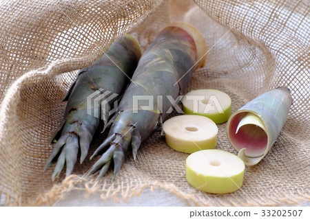 bamboo shoot 33202507