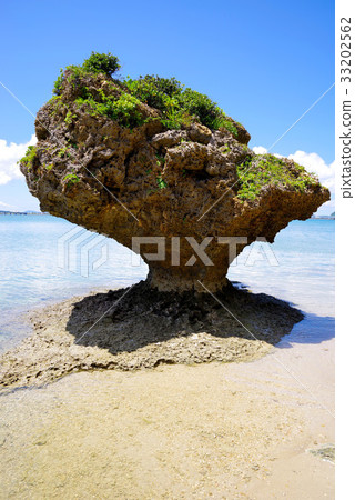 Hamahigajima海岸 33202562