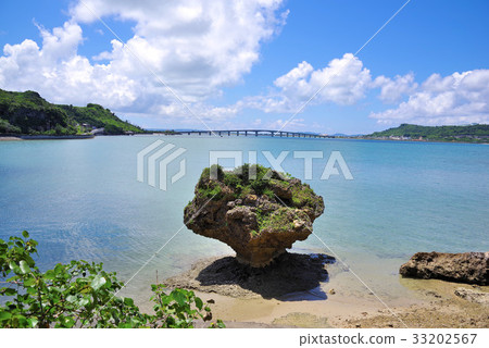 Hamahigajima海岸 33202567