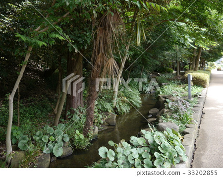Nishifu-cho Shimizu (57 selections of famous spring waters in Tokyo) 33202855