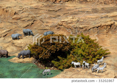 Zebra and rhino herd Zebra and rhino herd 33202867
