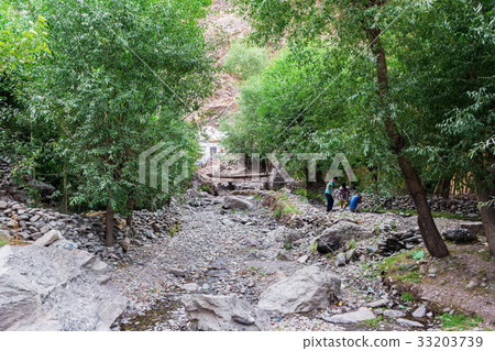 Natural landscape 33203739