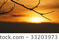Branches with the sun (silhouette) 33203973