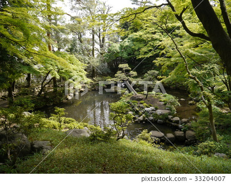 Togaya Tani Garden（東京著名的泉水中的57種，被指定為國家獎項） 33204007