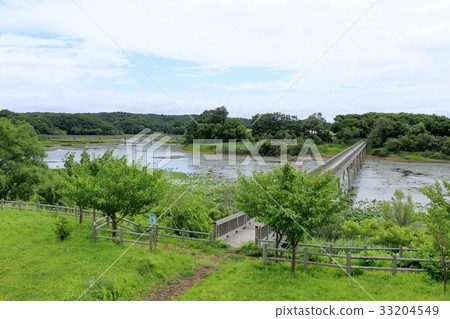 津輕平原Osawauchi池塘 33204549