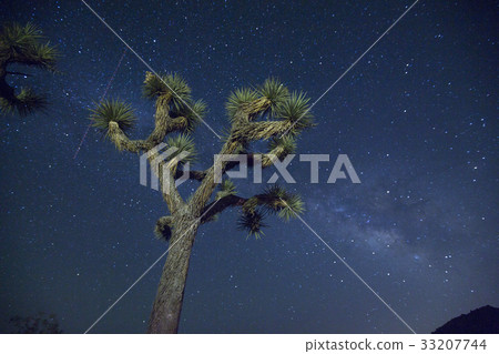 Milky Way in California 33207744